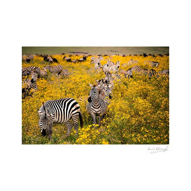 Photography from Melbourne and Australia by Daniel Bilsborough