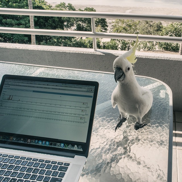 Photography from Melbourne and Australia by Daniel Bilsborough