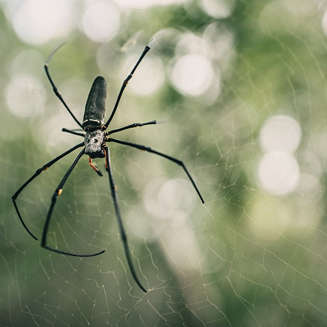Photography from Melbourne and Australia by Daniel Bilsborough