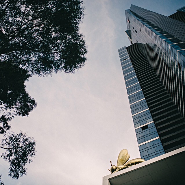 Photography from Melbourne and Australia by Daniel Bilsborough