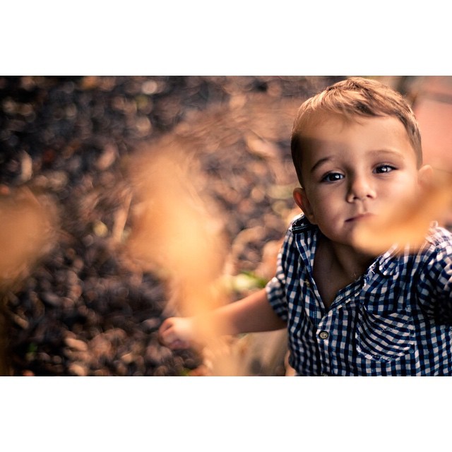 Photography from Melbourne and Australia by Daniel Bilsborough