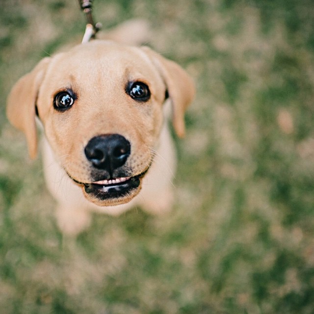 Photography from Melbourne and Australia by Daniel Bilsborough