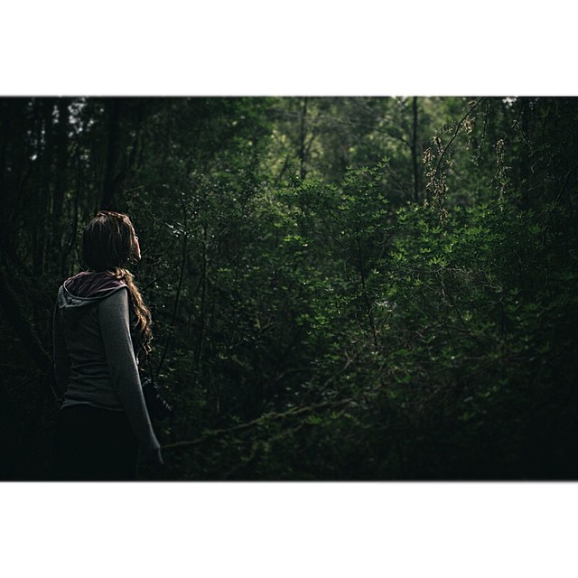 Photography from Melbourne and Australia by Daniel Bilsborough