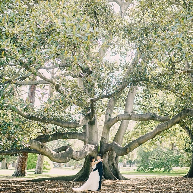 Photography from Melbourne and Australia by Daniel Bilsborough