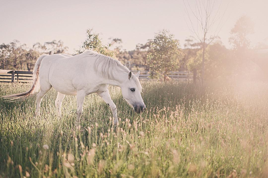 Photography from Melbourne and Australia by Daniel Bilsborough