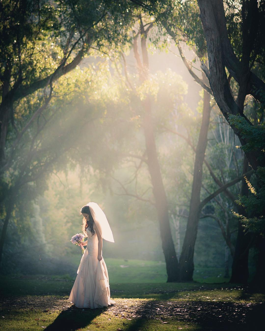 Photography from Melbourne and Australia by Daniel Bilsborough