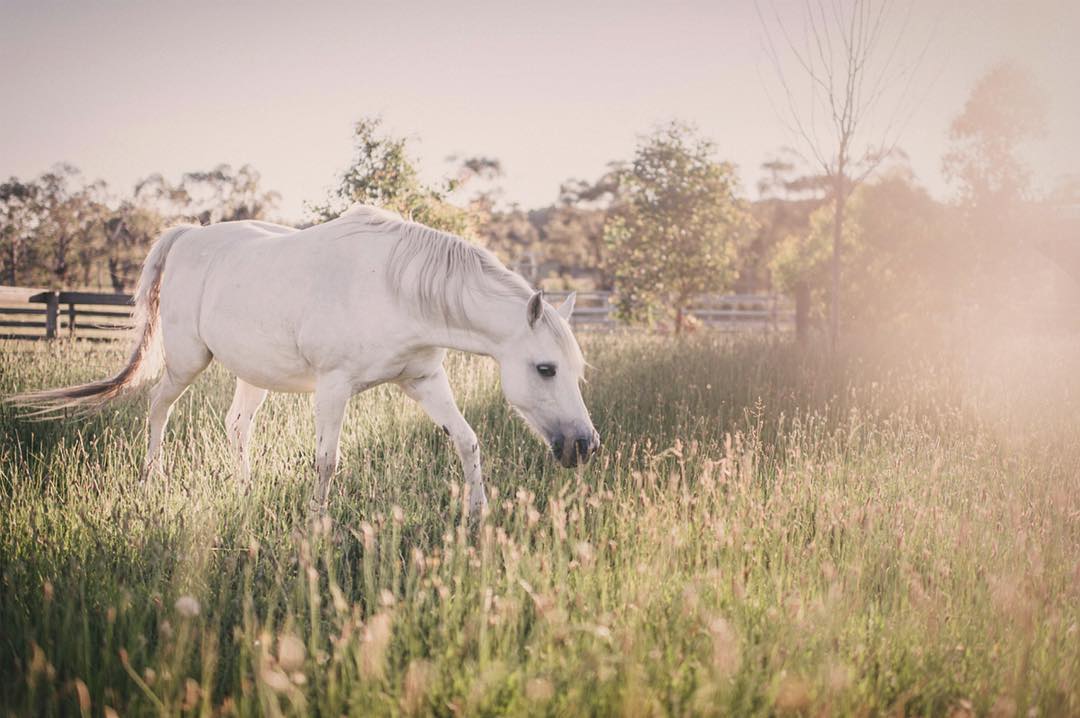 Photography from Melbourne and Australia by Daniel Bilsborough