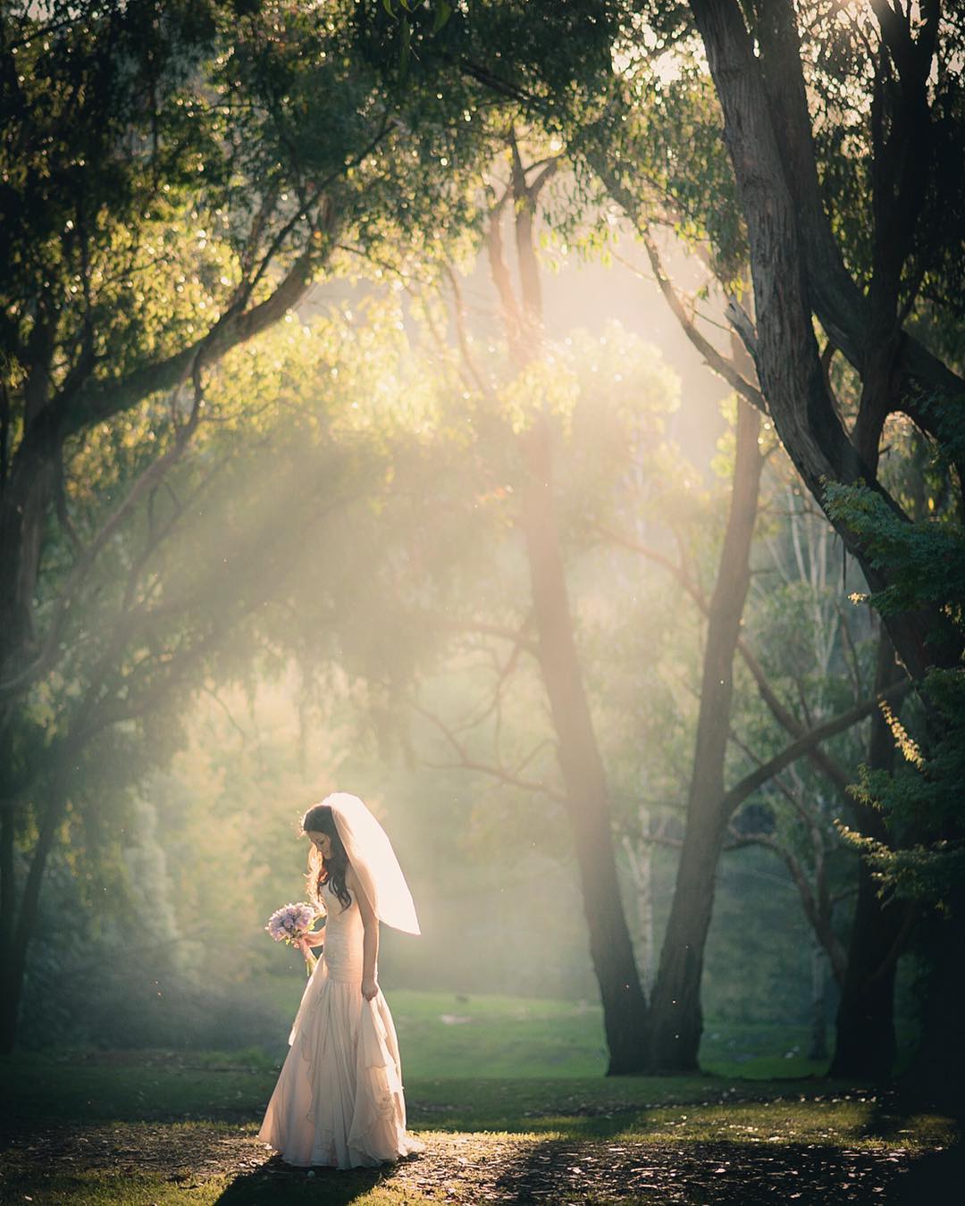 Photography from Melbourne and Australia by Daniel Bilsborough