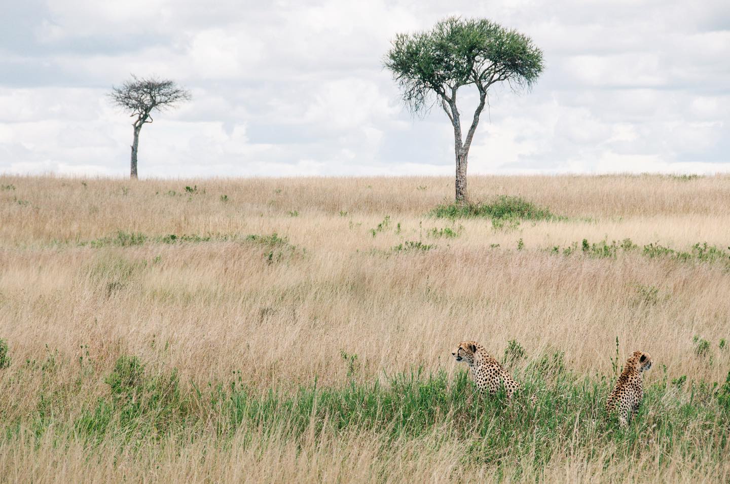 Photography from Melbourne and Australia by Daniel Bilsborough