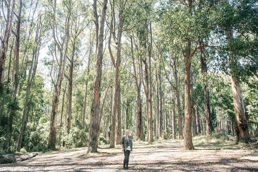 Photography from Melbourne and Australia by Daniel Bilsborough