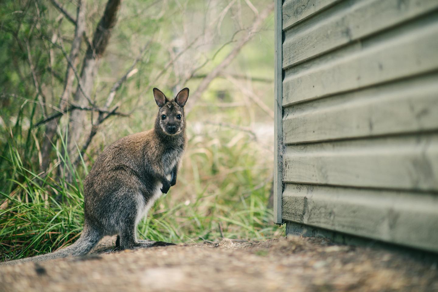 Photography from Melbourne and Australia by Daniel Bilsborough