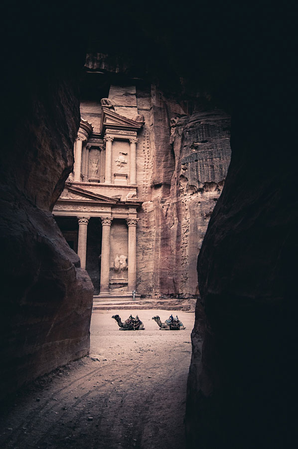 Two camels resting in front of the Treasury at Petra, framed by narrow canyon walls