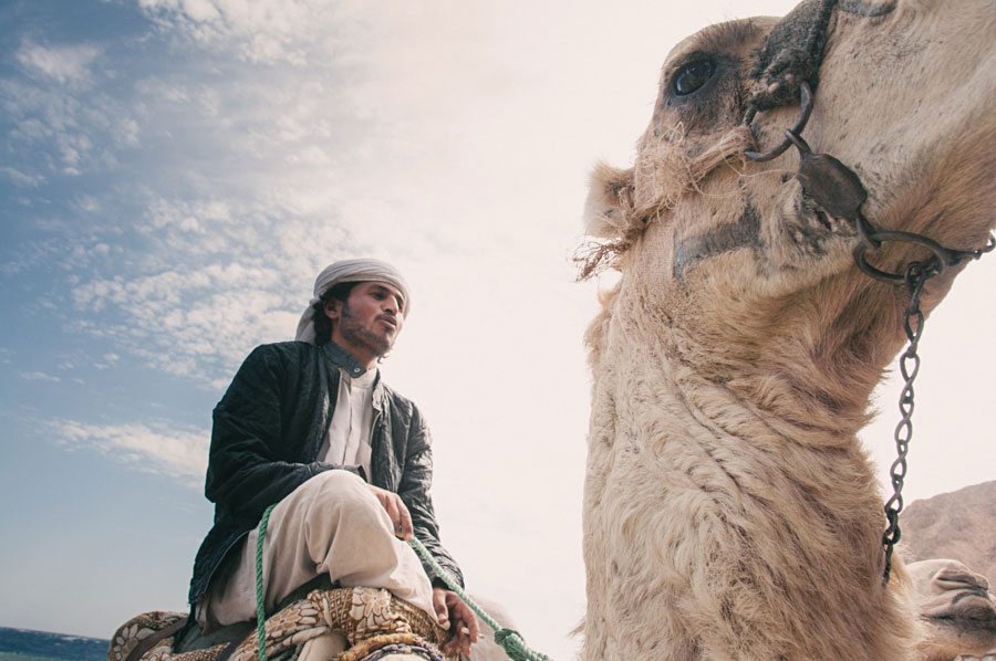 Bedouin man riding a camel shot from a low angle against a bright desert sky