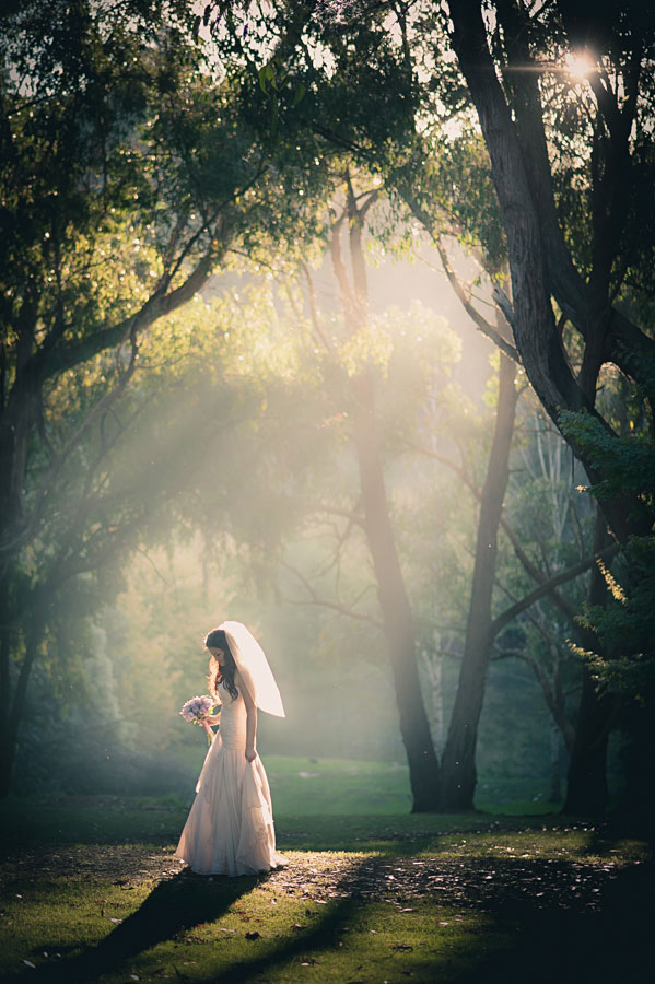 Bride holding a bouquet walking through a sunlit misty forest with rays filtering through trees