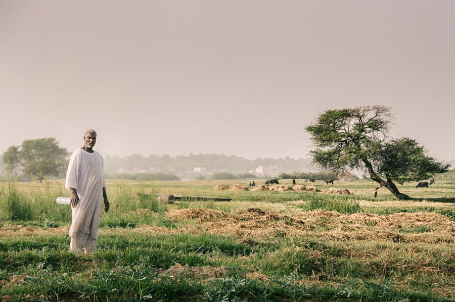 Man in white traditional clothing standing in a misty green field with a lone tree in India