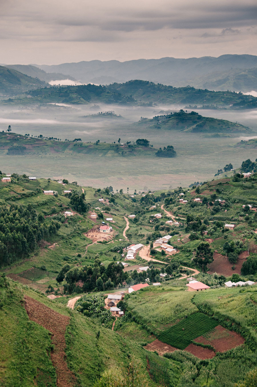 Misty hillside villages and terraced farmland in the Bwindi Impenetrable Forest region of Uganda