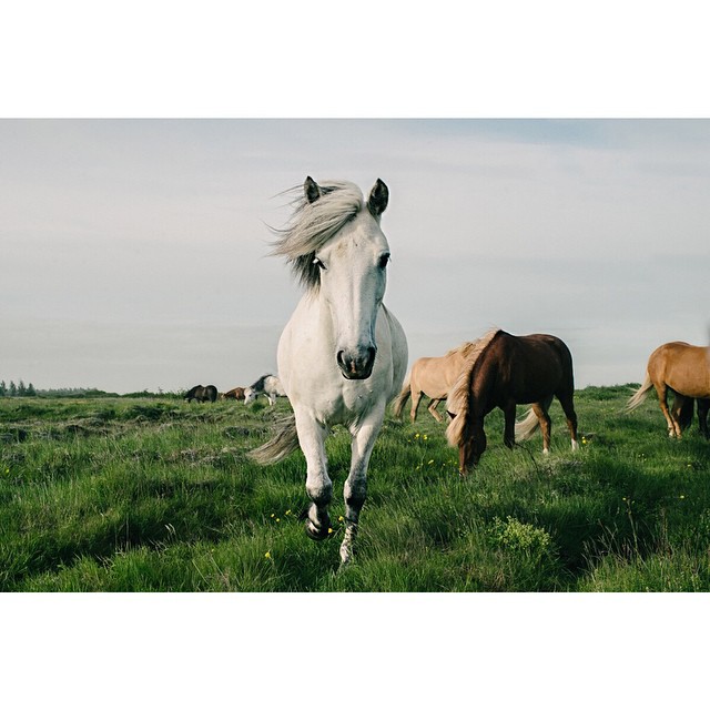 Iceland Ring Road stretching through vast empty landscape toward distant mountains