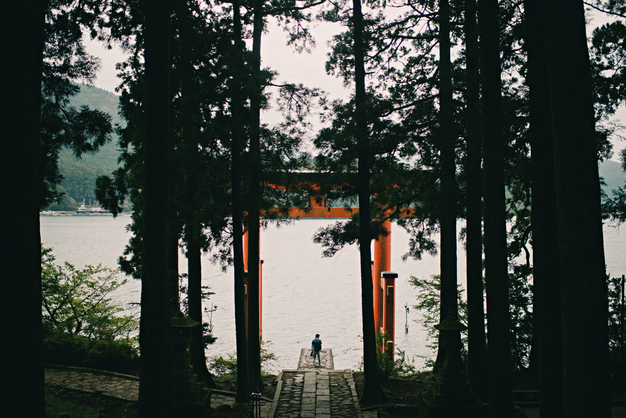 Torii gate seen through tall cedar trees at the edge of a lake in Hakone
