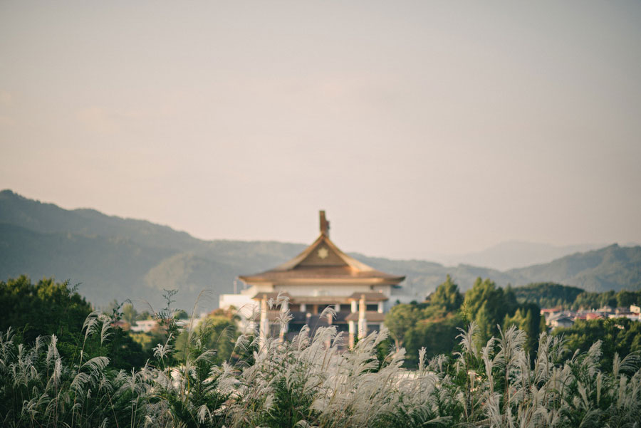 Japanese temple or pavilion seen through tall silver pampas grass with mountains behind