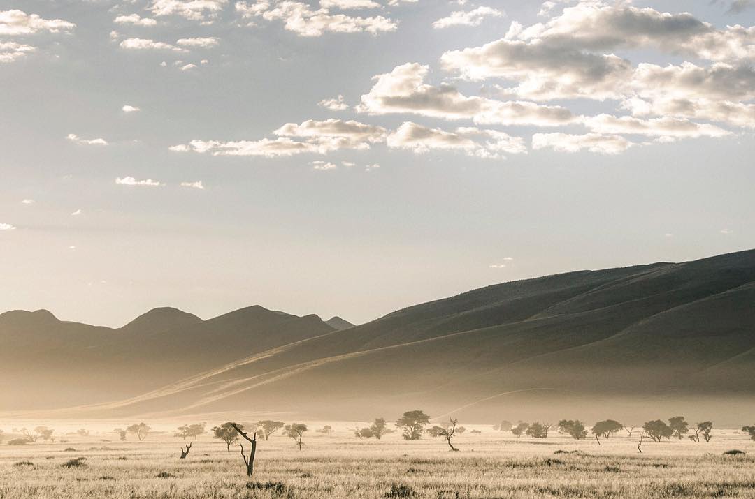 Namibian desert dunes at sunrise with scattered acacia trees in golden light