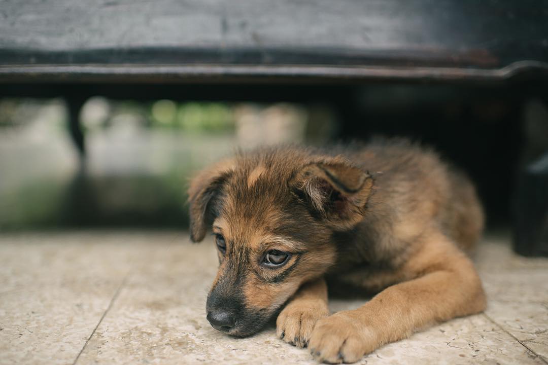 Travel photography from Southeast Asia by Daniel Bilsborough